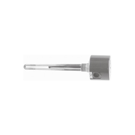 Immersion Heater with Stainless Steel Wetted Construction, 1"NPT