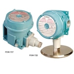 Heavy Duty Industrial NEMA-9 Pressure Switch for High Temps