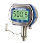 High Accuracy, Digital Pressure Gauge with Output &