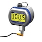 Digital RTD Thermometer with NEMA 4X Enclosure