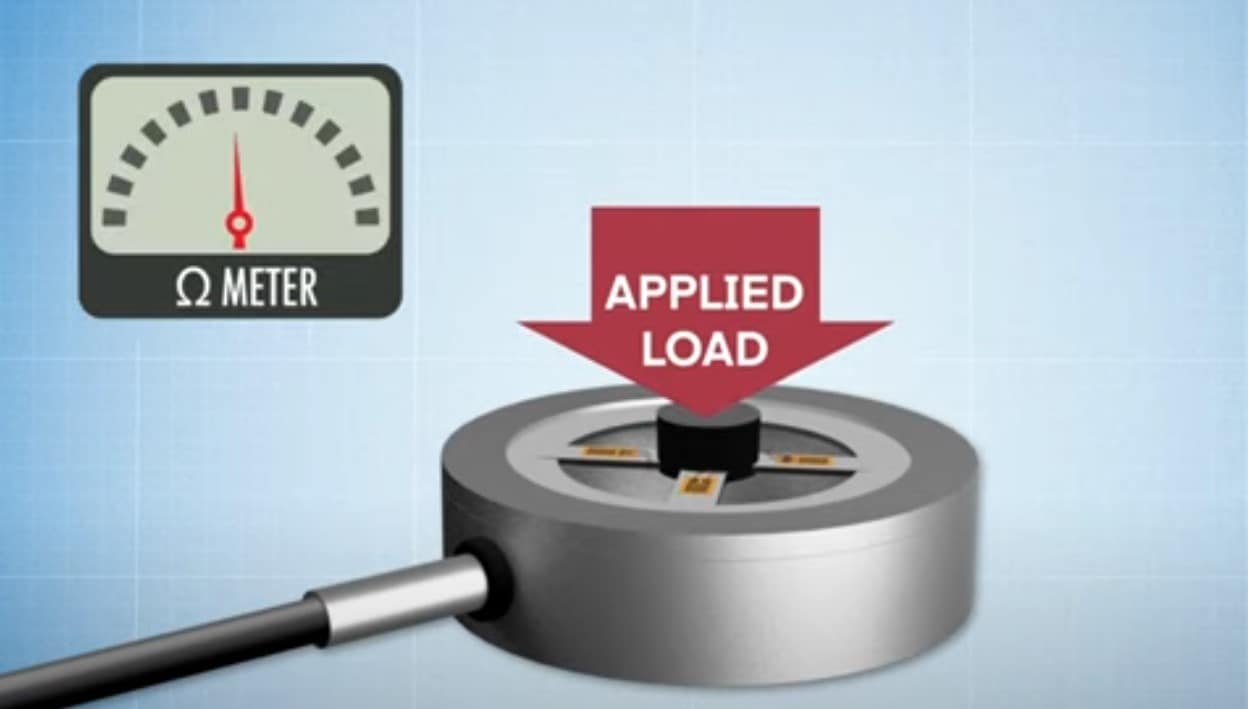 Descriptive Alt Text 2