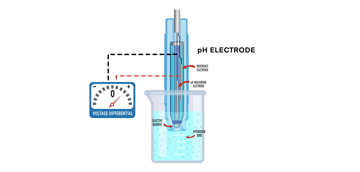 iPerfusion