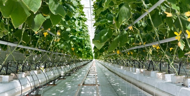 Air Pressure Solutions for Seeding/Planting Machines