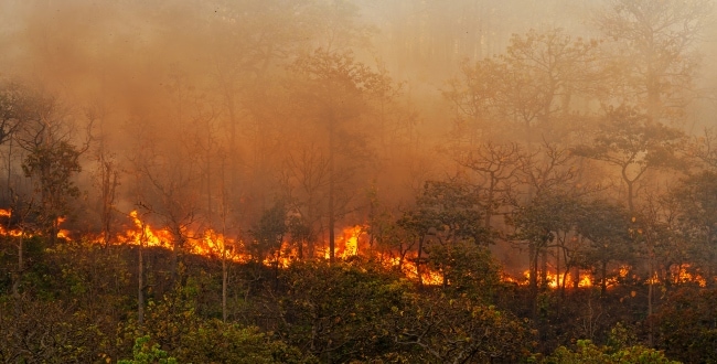Importance of Monitoring IAQ During Wildland Fire Season