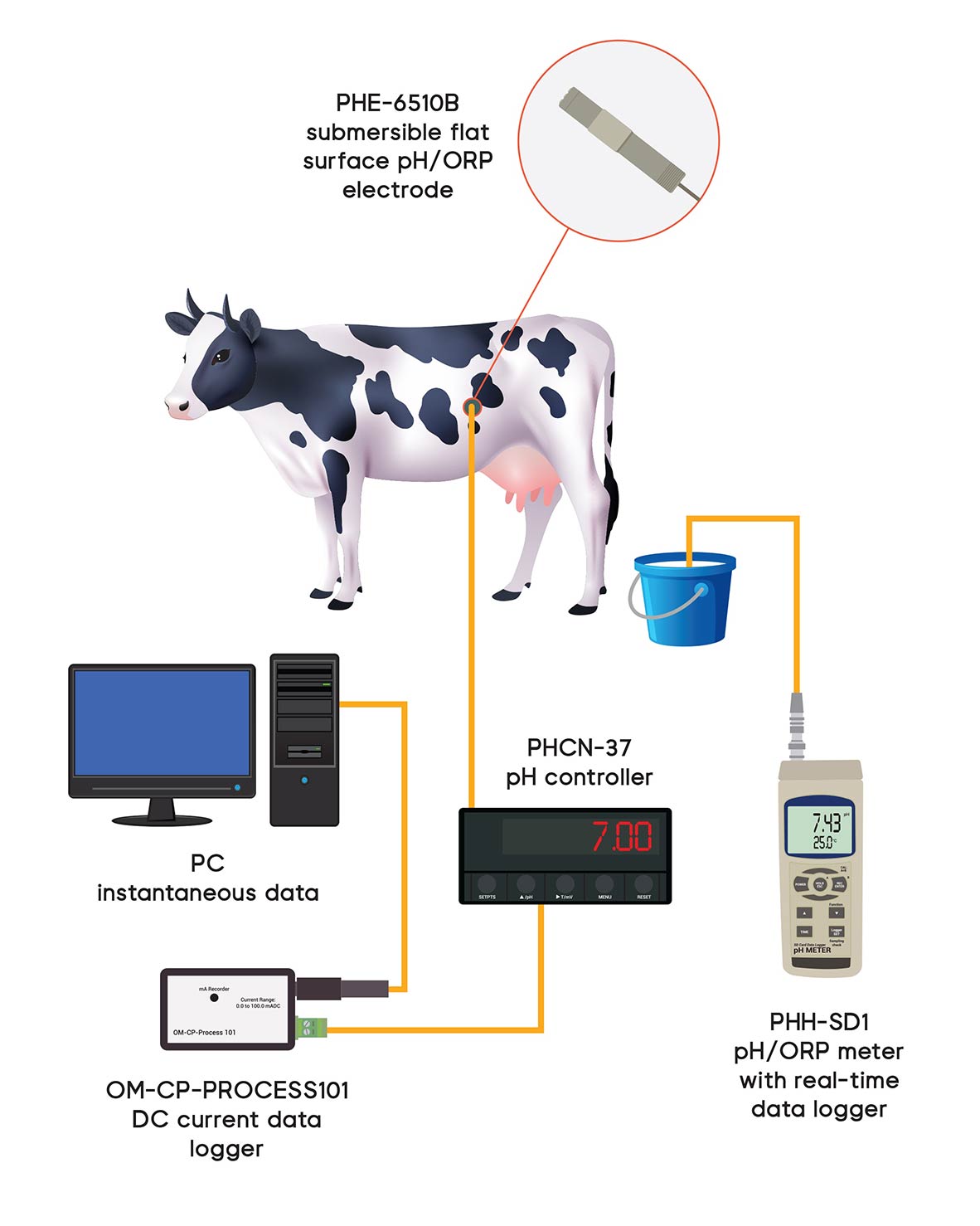 How to Measure pH Levels in a Ruminant's Digestive System