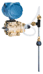 short-image-description