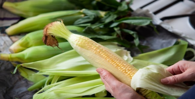 Pressure Measurement's Role in Corn Husking