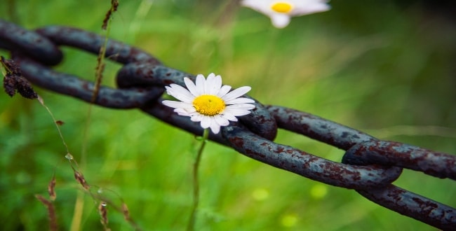 The Basics of Daisy Chaining